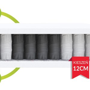 TREVISO-przekroj-01._1