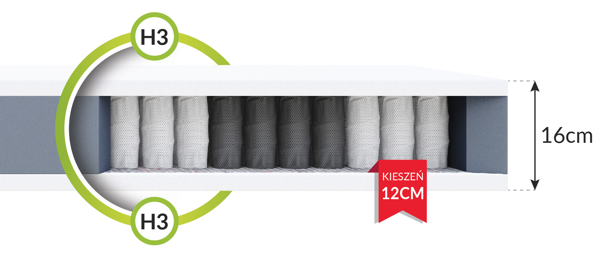 TREVISO-przekroj-01._1